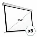 iggual Pack 5 x Pantalla 134' 4:3 240x240 eléctric