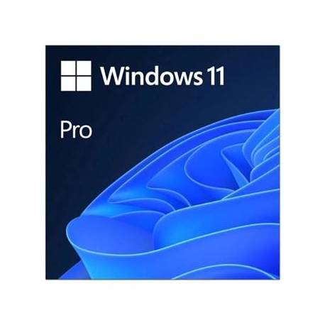 Microsoft Windows 11 Pro 64b ESD